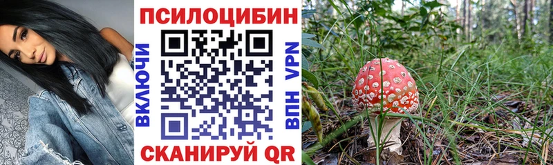 kraken зеркало  магазин  наркотиков  Буй  Псилоцибиновые грибы мухоморы 